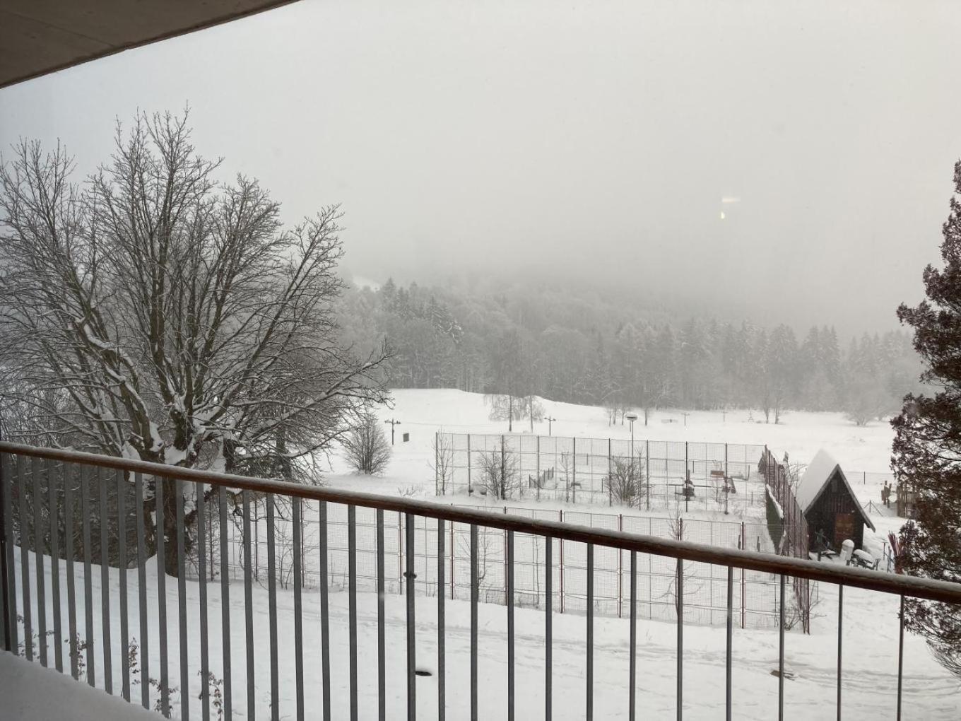 Apartment Ski&bike Sirena *